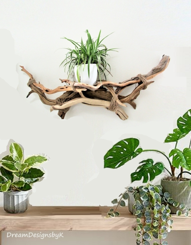 Rustic Driftwood Wall Shelf with Indoor Plants