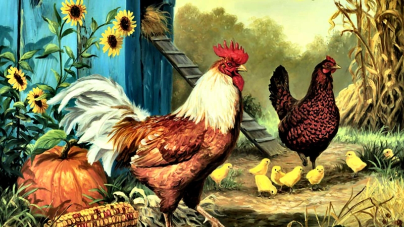 Rustic Farmyard Scene with Rooster and Chicks