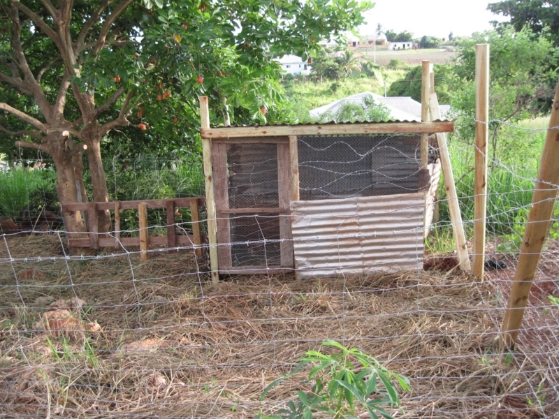 Smith's Jamaican Mission: Goat Pens