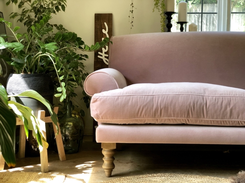 Soft Pink Velvet Sofa Surrounded by Lush Green Plants