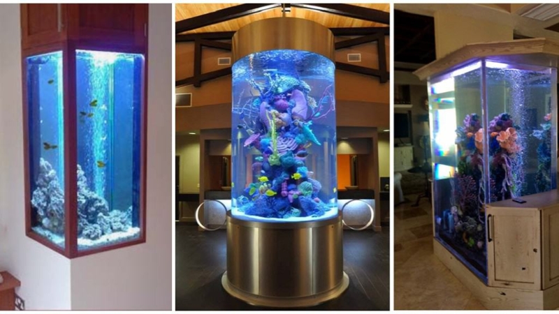 Stunning Tall Aquariums for Modern Interior Design