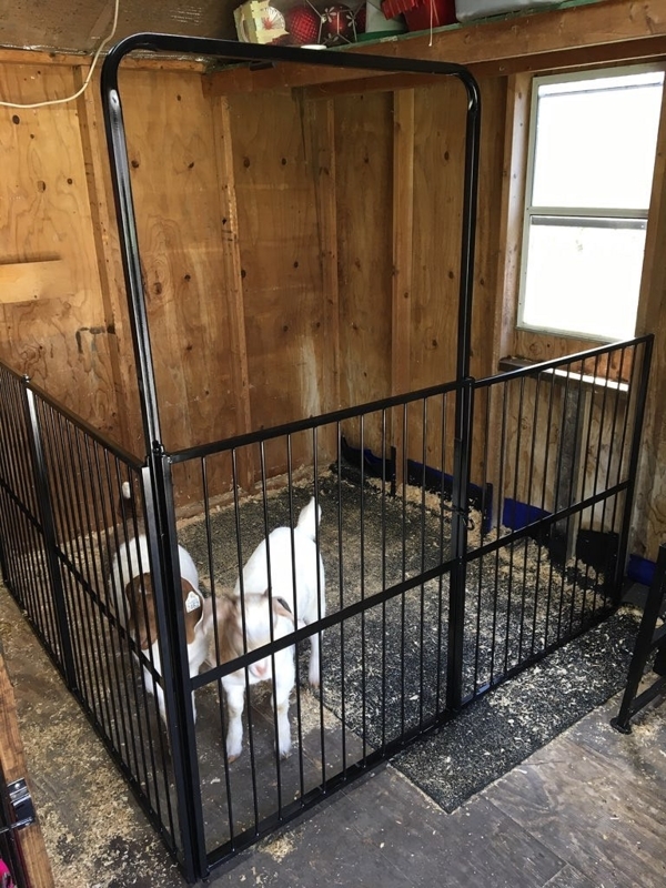 Sturdy Modular Goat and Sheep Pens for Indoor Use