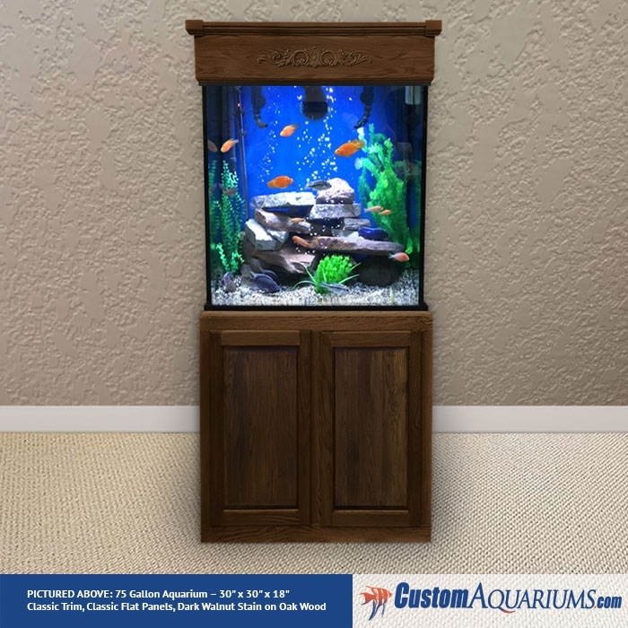 Tall Fish Tanks
