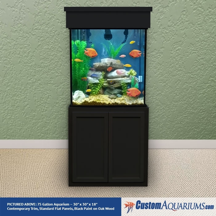 Tall 75-Gallon Custom Glass Aquarium with Stand