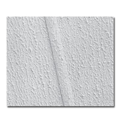 Textured Gypsum Ceiling Panels for Mobile Homes