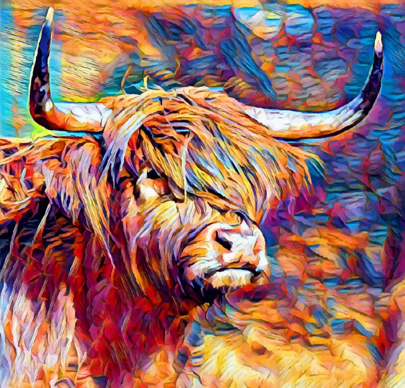 Vibrant Highland Cow Colorful Abstract Painting