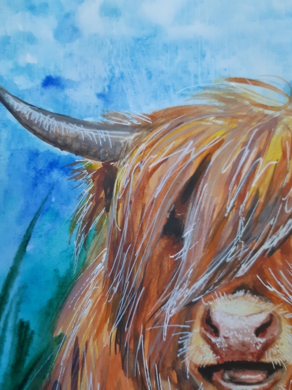 Watercolor Highland Cow Farm Animal Portrait Art