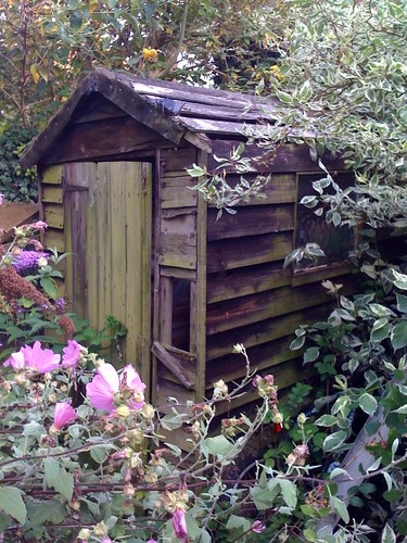 Charming Rustic Wood Garden Shed Surrounded by Foliage