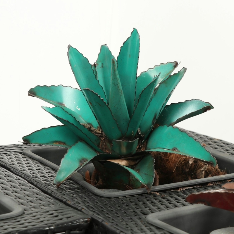 Contemporary Metal Agave Plant with Woven Planter