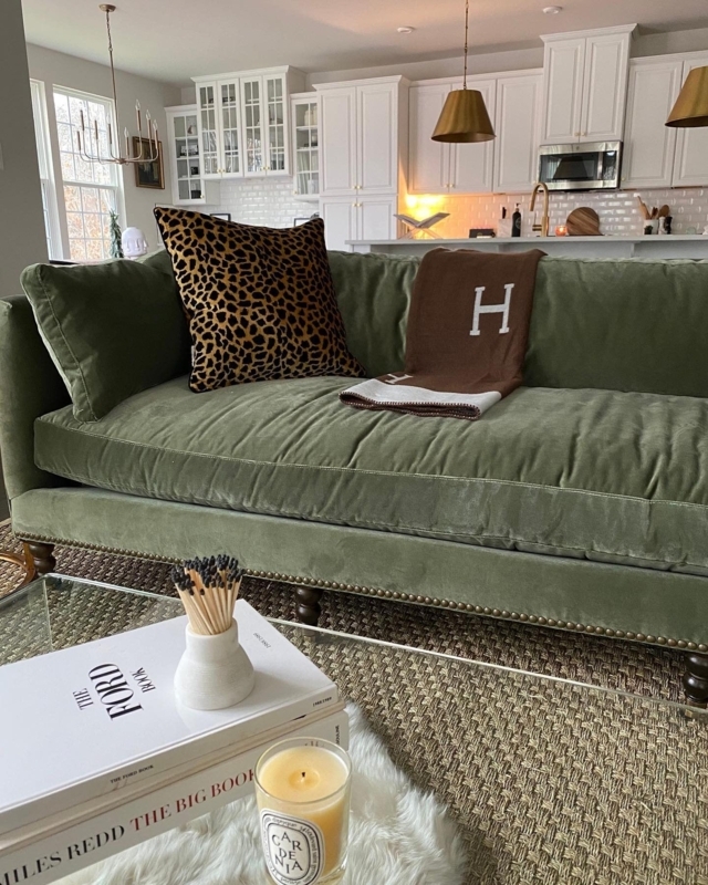 Elegant Green Velvet Sofa with Leopard Print Pillow