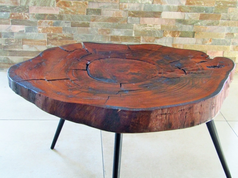 Handcrafted Parota Wood Tree Trunk Coffee Table