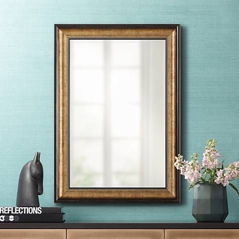 Champagne Bronze Mirrors