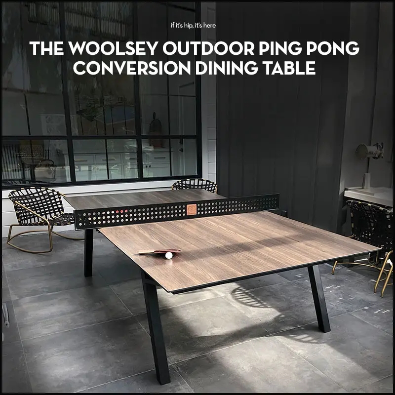 Modern Woolsey Outdoor Ping Pong Dining Table
