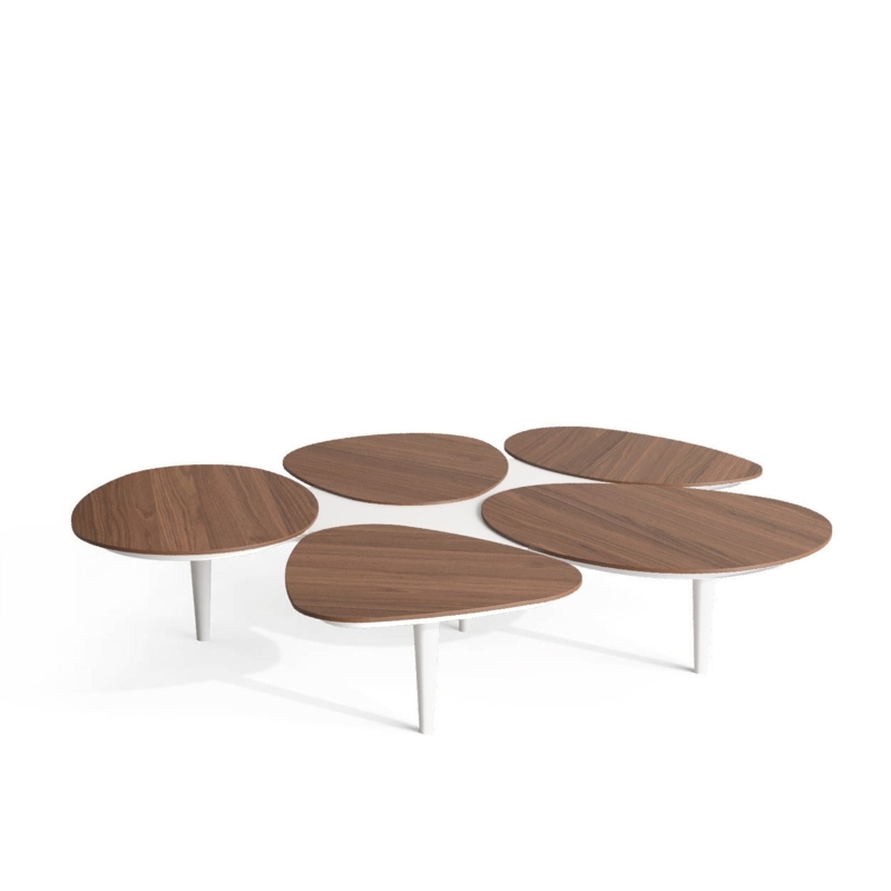 Organic Oak Coffee Table Set of 2 with Natural Wood and Stained Grey ...