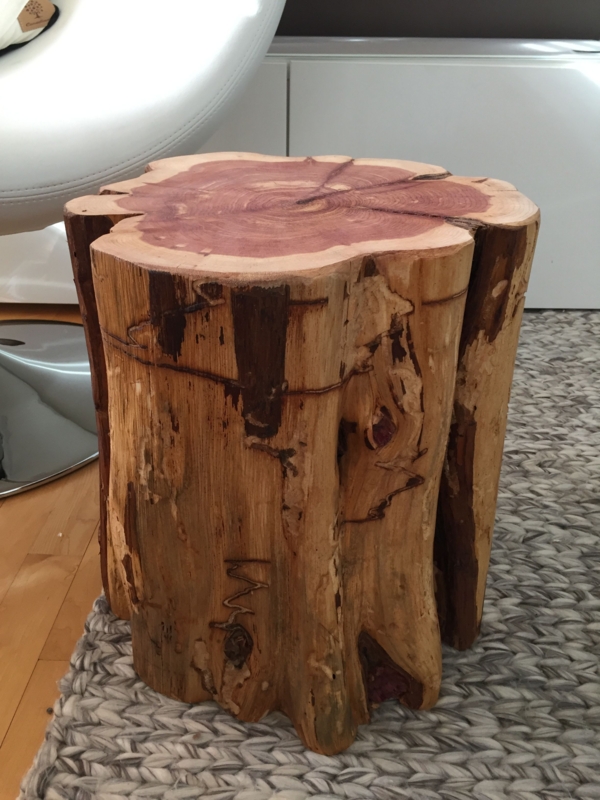 Rustic Natural Tree Trunk End Table Design