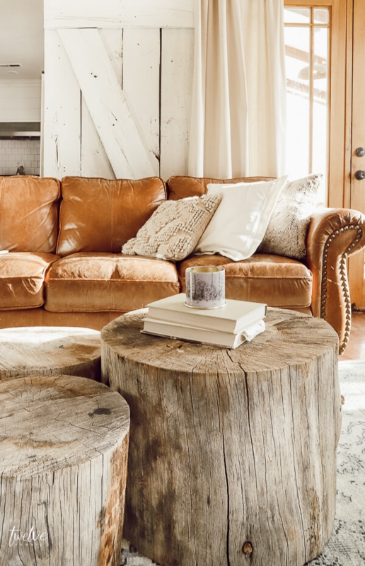 Rustic Tree Stump Coffee Table Ideas for Living Room