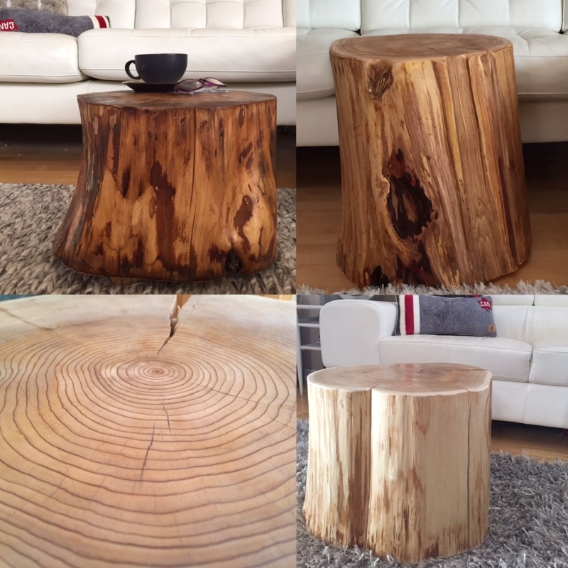 Rustic Tree Trunk Stump Side Tables