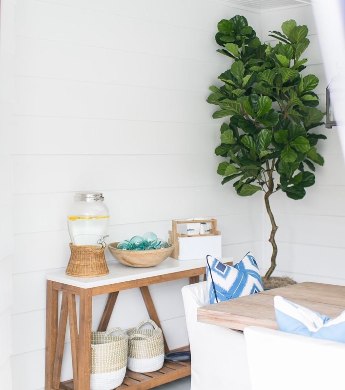 Stylish Coastal Console Table with Summer Vibes