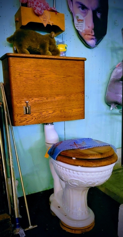Vintage Toilets