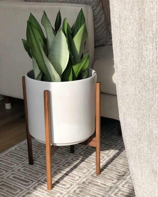 89 Gorgeous Mid Century Modern Living Room Plants Top Choices Of Architects