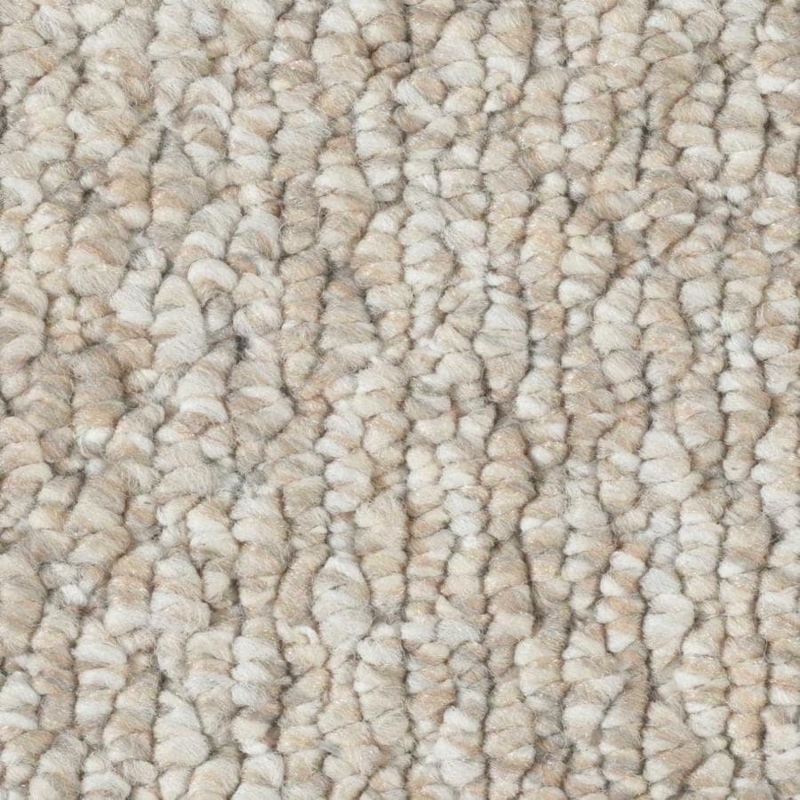 Berber/Loop Carpet Samples at