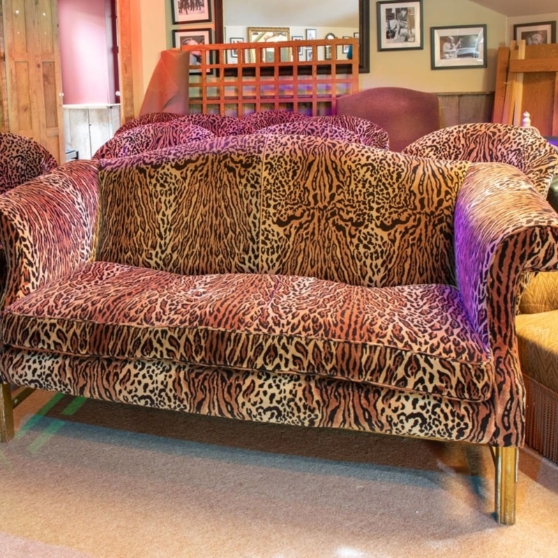 Bold Animal Print Sofas and Chairs in Living Room