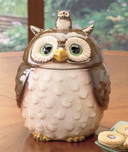 Charming Ceramic Owl Cookie Jar for Kitchens
