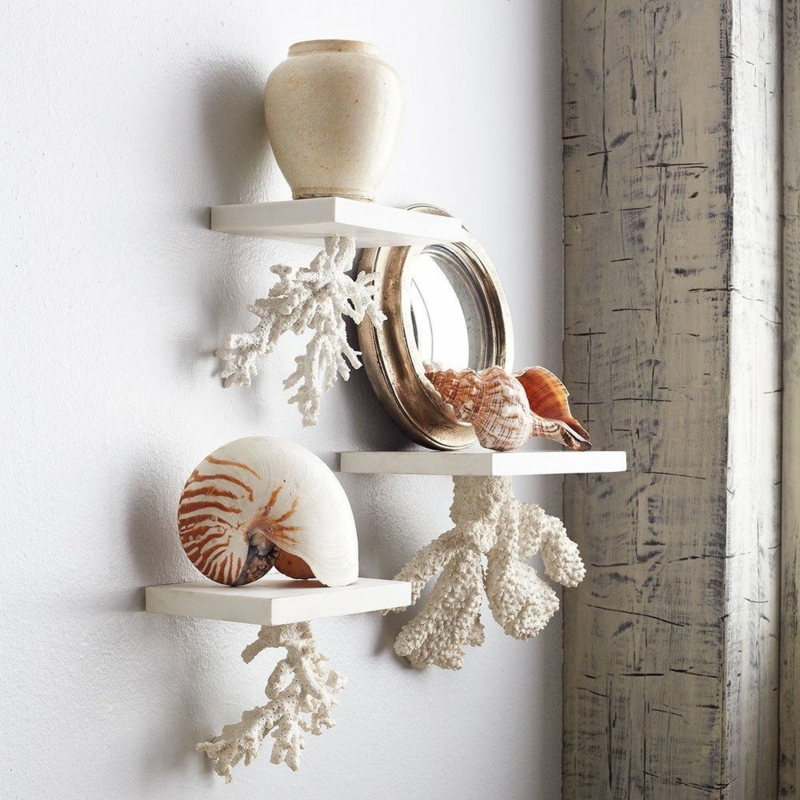 Coastal Nautical Decor with Sea Shelves Display