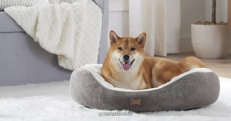 Cozy Gray Pet Bed in Modern Living Room