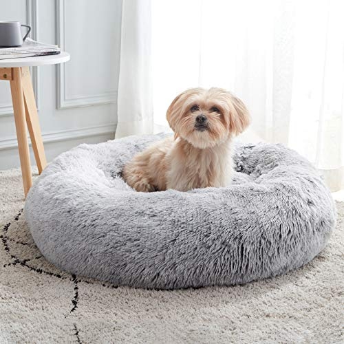Cozy Gray Ugg Dog Bed in Modern Living Room