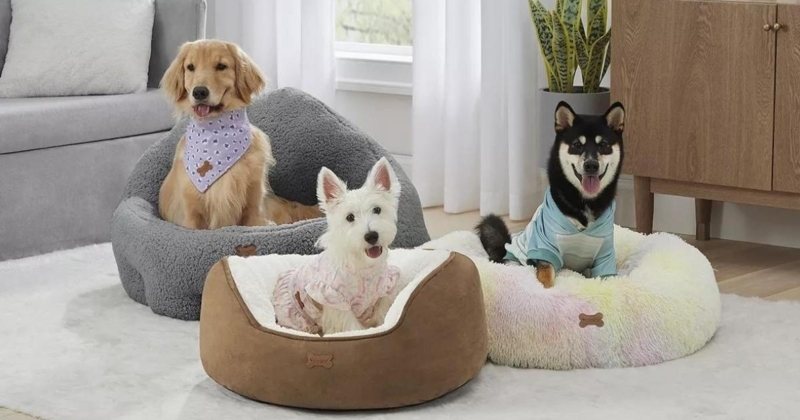 Cozy Koolaburra Pet Beds for Stylish Dogs