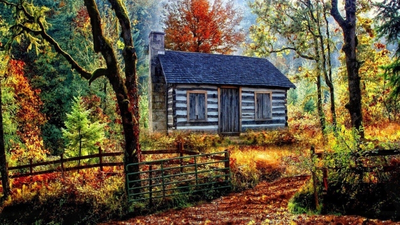 Cozy Rustic Cabin Surrounded by Autumn Forest