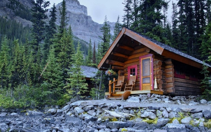Cozy Rustic Cabin Surrounded by Forest and Mountains