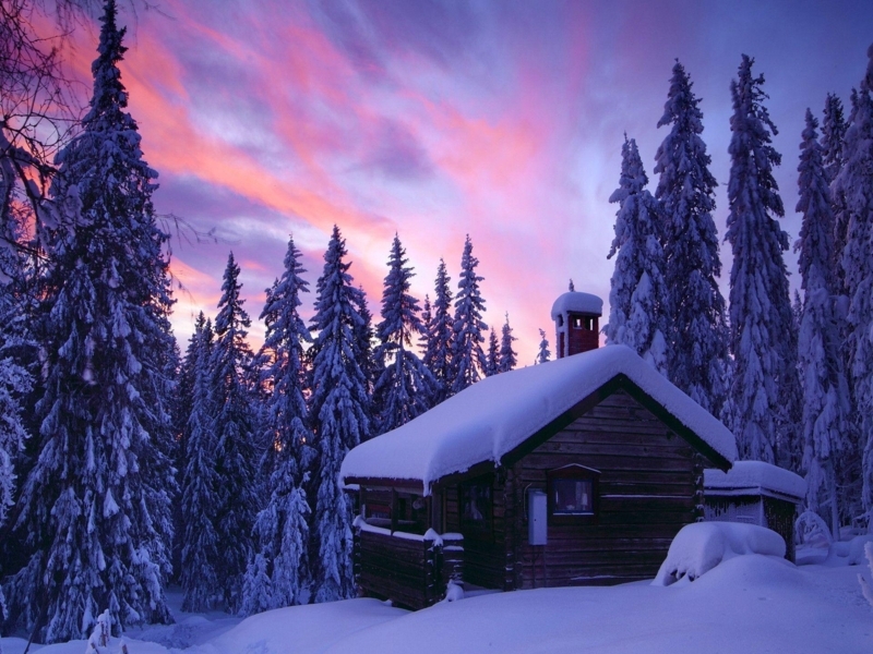 Cozy Snowy Cabin Surrounded by Pine Trees at Sunset