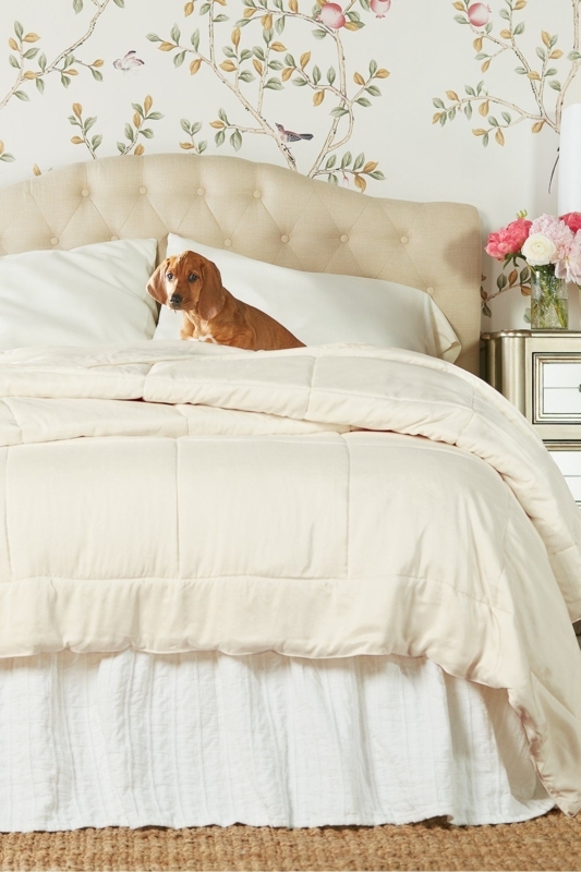 Cozy Taupe Silk Comforter with Neutral Decor
