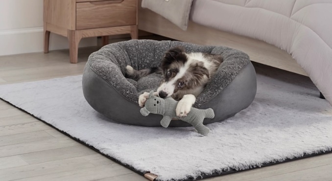 Cozy UGG Sherpa Dog Bed in Modern Living Room