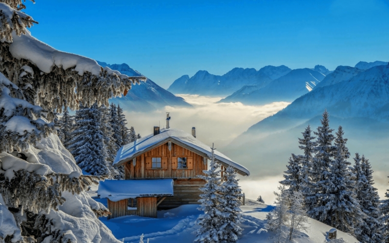 Cozy Winter Cabin Surrounded by Snowy Pines