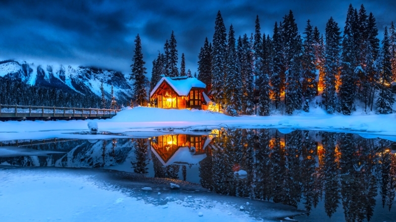 Cozy Winter Cottage Surrounded by Snowy Pines