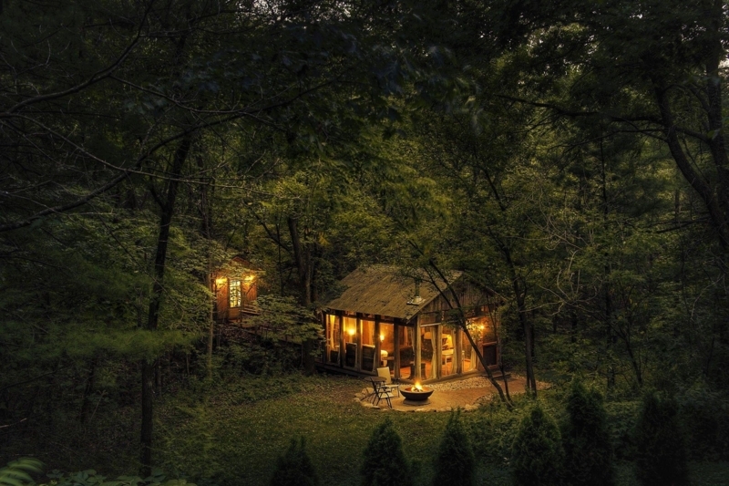 Cozy Wood Cabin Nestled in Lush Forest at Night