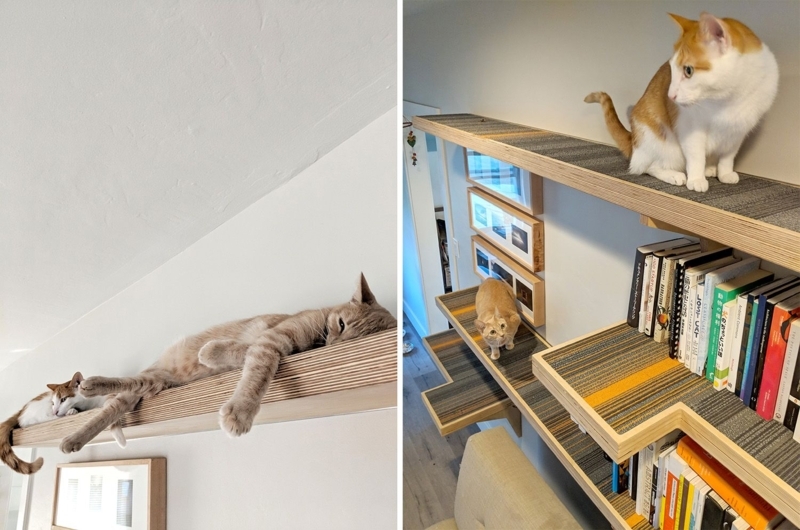 Custom Cat Climbing Shelves Integrated with Bookshelf