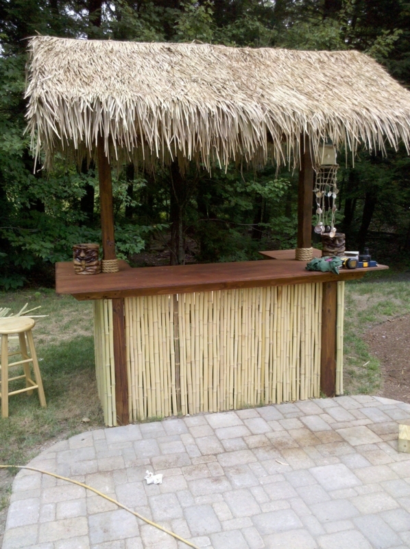 Daddy will you build me this? | Outdoor tiki bar, Backyard bar, Tiki bar