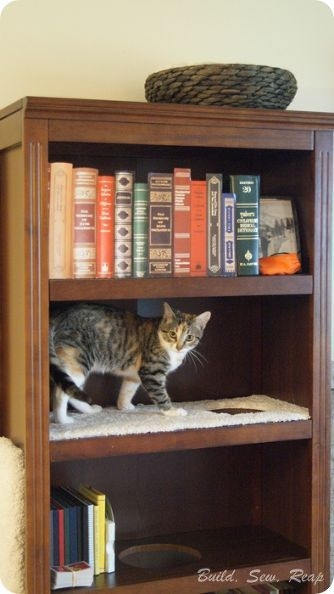 DIY Bookcase Cat Climber Integrated Home Decor