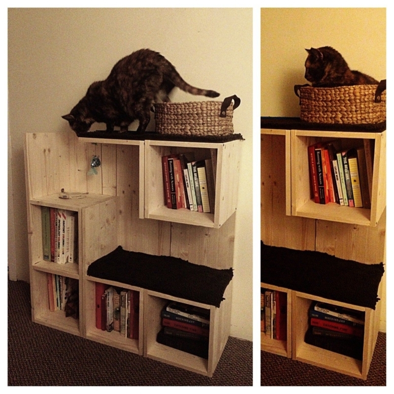 DIY Wooden Bookshelf with Integrated Cat Tree