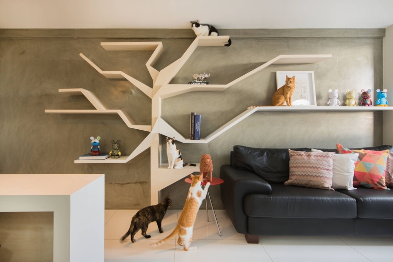 | homify | Cat wall shelves, Cat room, Cat wall furniture