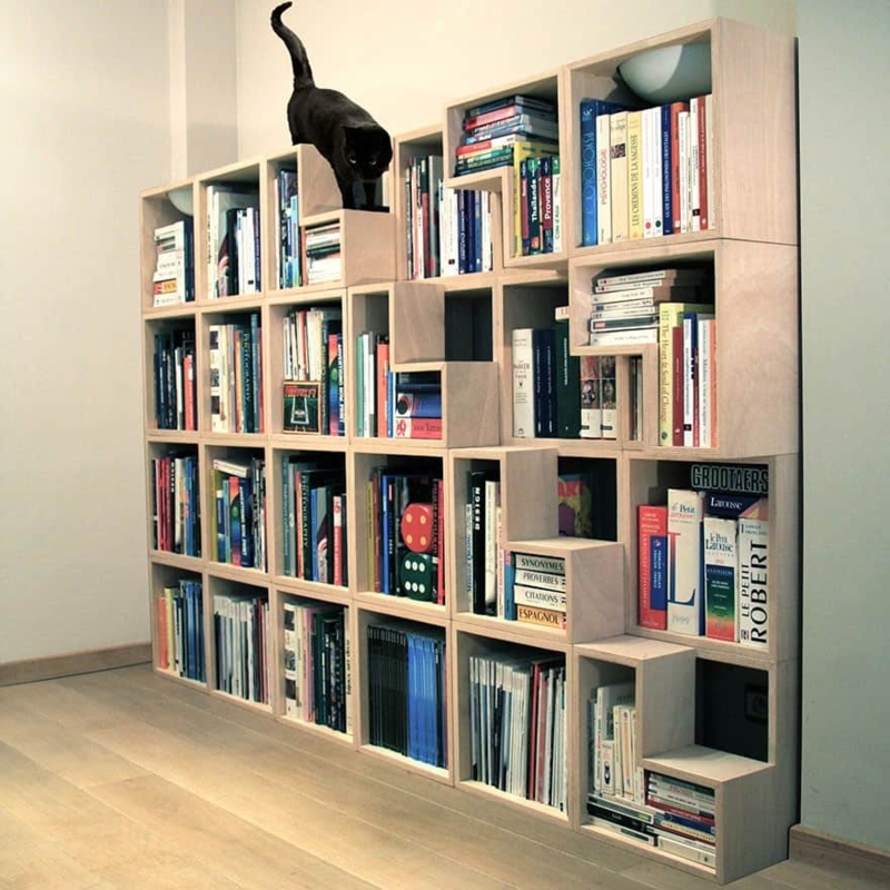 Innovative Cat-Friendly Bookshelf Design