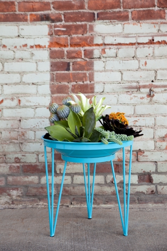 Mid-Century Modern Blue Planter with Succulents