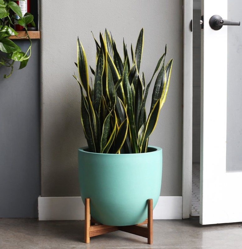 Mid Century Modern Large Turquoise Plant Pot