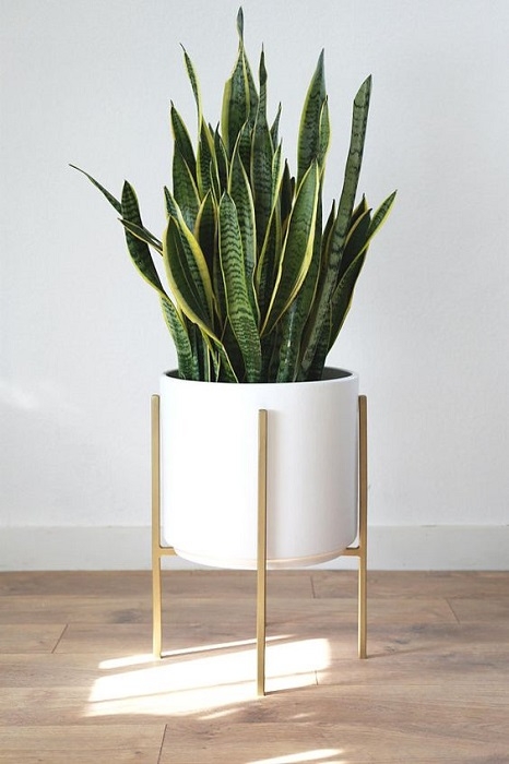 Mid Century Modern White Planter with Golden Stand