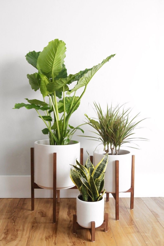 Mid Century Modern Wooden Plant Stands with Ceramic Pots