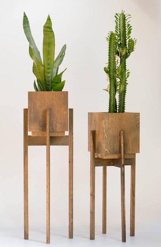 Mid Century Wooden Plant Stands with Tall Green Plants